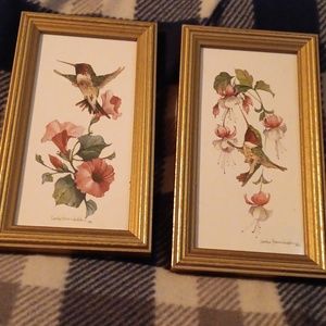 Vintage Carolyn shores Wright framed hummingbird water colors